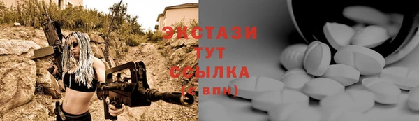 мдпв Рославль
