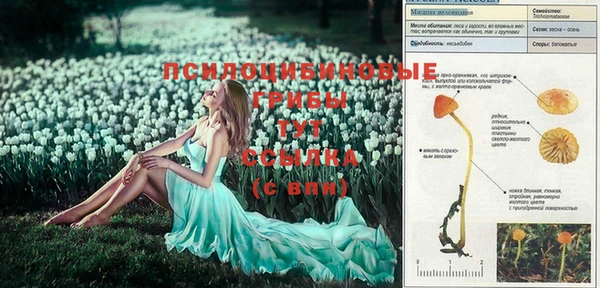 прущий лед Абдулино