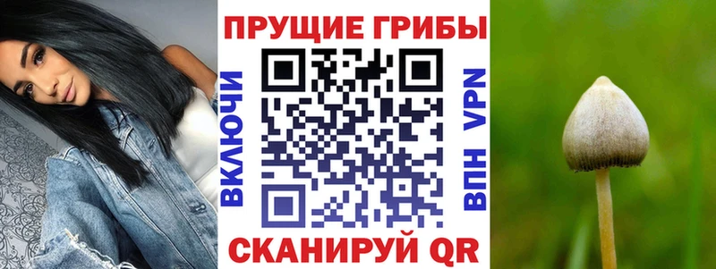 даркнет сайт Руза shop клад Галлюциногенные грибы ЛСД блэк спрут зеркало